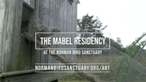 Norman Bird Sanctuary Mabel Residency Artists Talk