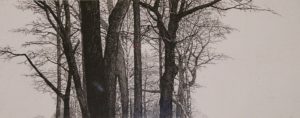Winter Exhibitions Opening Reception
