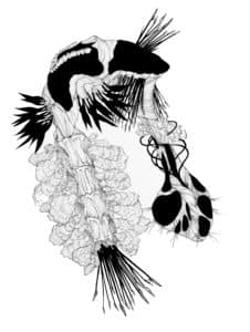 Somaflora: Recent work by Maggie Nowinski
