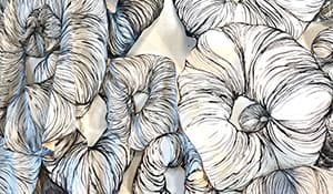 Cancelled: Exhibiting Artist Talk: Maggie Nowinski <i>Somaflora</i>