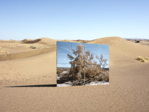Virtual Exhibiting Artist Talk with Gohar Dashti