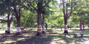 Hope Tree Art Exhibition 2021