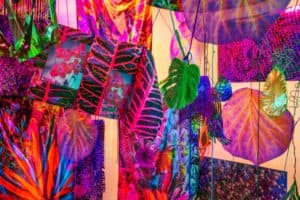 Aimée Beaubien: Drawn Through Allium with Patience and Good Fortune