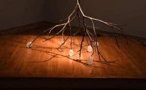 Exhibiting Artist Talk: Ana Flores