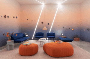 Suchi Reddy on Neuroaesthetics